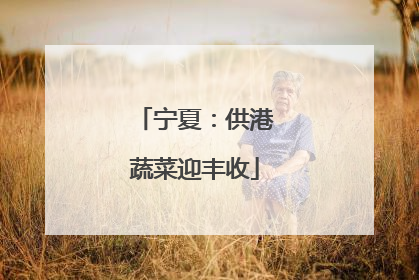 宁夏：供港蔬菜迎丰收
